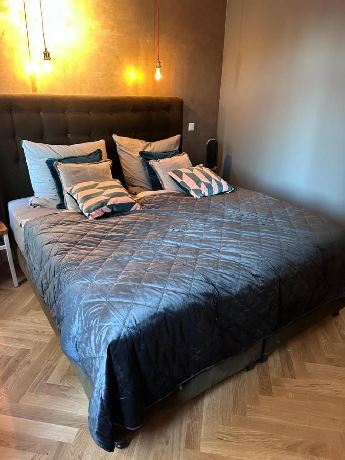 Markt Life Home Appartments Wittenberg المظهر الخارجي الصورة